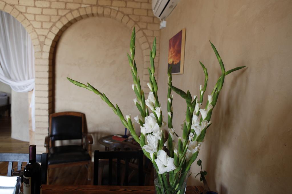 Skyline Villa Mitzpe Ramon Phòng bức ảnh